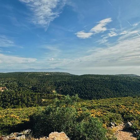 Can Romy Appartement T3 B - A 20M De La Plage De Cala Montgo L' Escala Εξωτερικό φωτογραφία