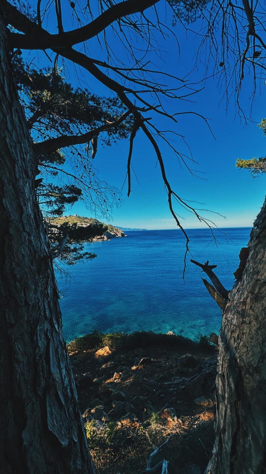 Can Romy Appartement T3 B - A 20M De La Plage De Cala Montgo L' Escala Εξωτερικό φωτογραφία